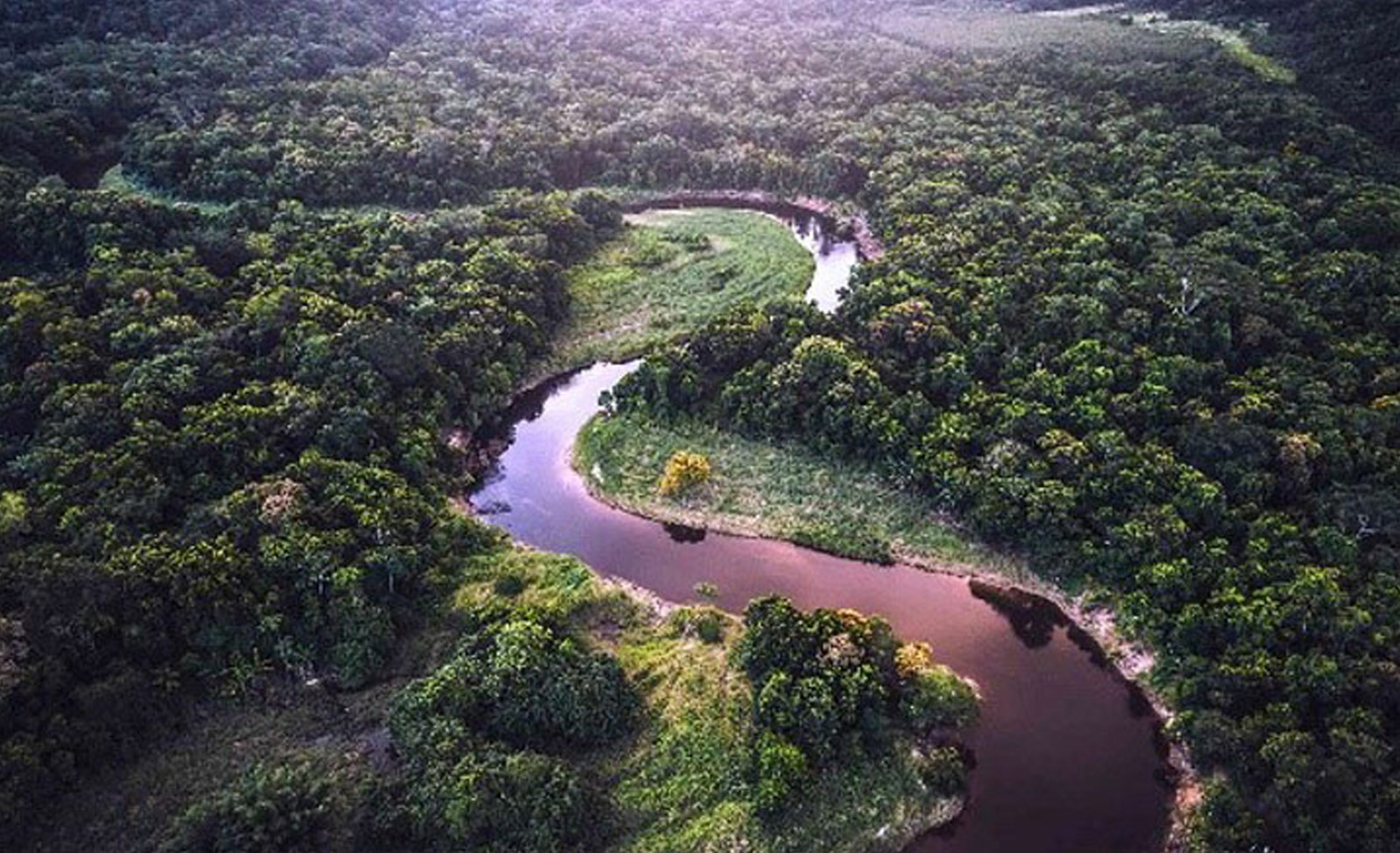Vista aérea de um rio serpenteando uma floresta